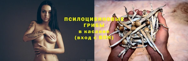 стафф Армянск