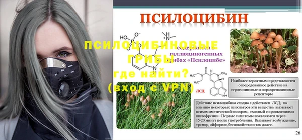 гашик Покровск
