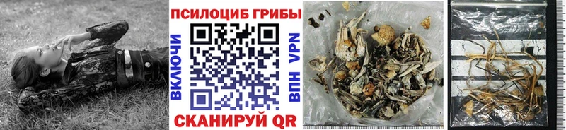 Галлюциногенные грибы прущие грибы  сколько стоит  Гвардейск 