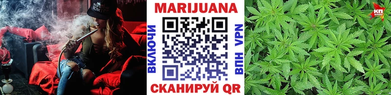 Шишки марихуана MAZAR  Гвардейск 